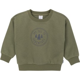 Gerber Baby Boys Toddler 2-Piece Fleece Sweatshirt and Jogger Set, Olive, 2T