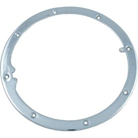 Pentair Light Niche Sealing Ring, Amerlite, 8-Hole, Vinyl