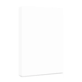 Gaak Papel Opalina Tamaño Carta 120gr Blanco con Efecto Opalina A4 100 Hojas