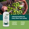 16oz Olive Tree Fertilizer – Makes 16 Gallons of Olive