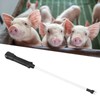 Electric Pig Prod Rechargeable Waterproof 9KV Electric Livestock Prod for