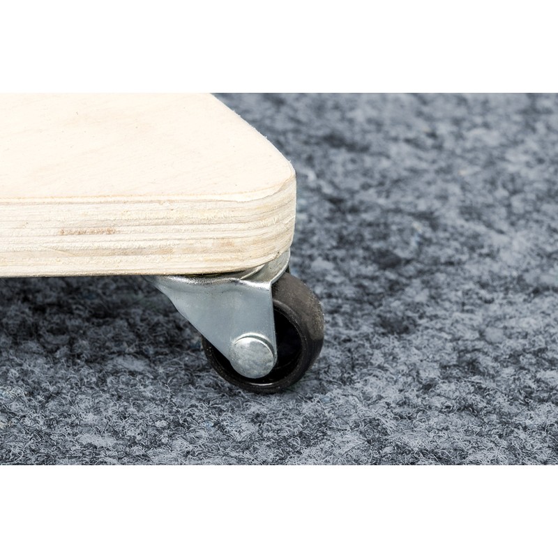 Transport Roller 134 x 134 x 134 mm, 100 kg,