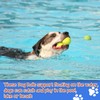 INSUM Squeaky Dog Balls - Squeaky Tennis Balls for Dogs,
