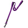 Primal Pet Gear Dog Leash 6ft Long,Traffic Padded Two Handle,Heavy