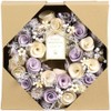 SG Wonder Zone 660-056 Wreath, 9.4 inches (24 cm), All