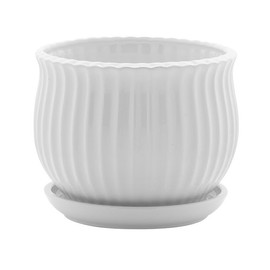 Napco Imports Timeless Ribbed Scalloped Design 5 x 6 Inch Classic White Ceramic Indoor Planter Pot with Attached Saucer