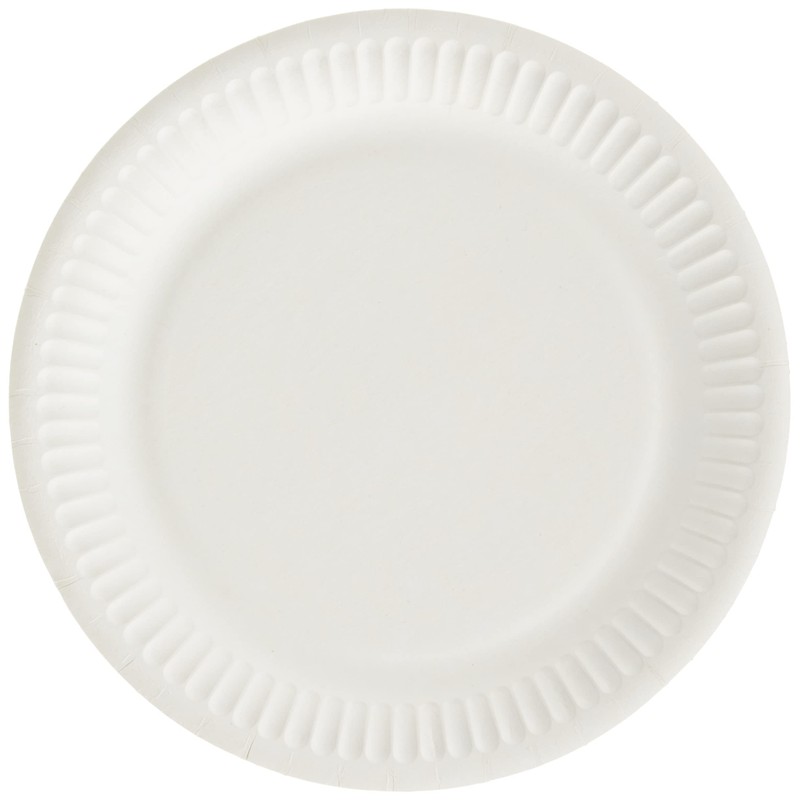 Folat 6 Paper Plates, Dinosaur, Dinosaur Plates, Children's Birthday Parties,