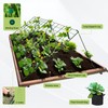 Toriexon Cucumber Trellis for Raised Bed, 48" L x 48"
