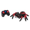 Terra by Battat – Realistic Tarantula RC Spider with Infrared