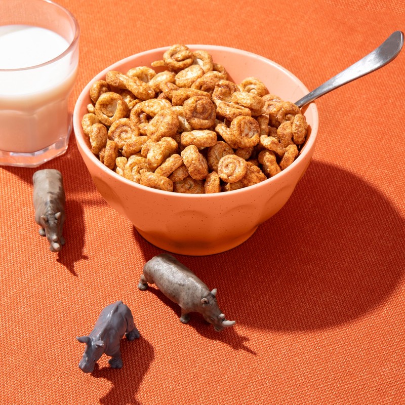 EnviroKidz Organic Rhino Rolls Cereal, 9.5 oz (Pack of 1),