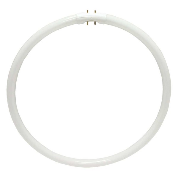 SYLVANIA Fluorescent 4W T5 Circline Lamp, 3000K Neutral White, 1 Pack