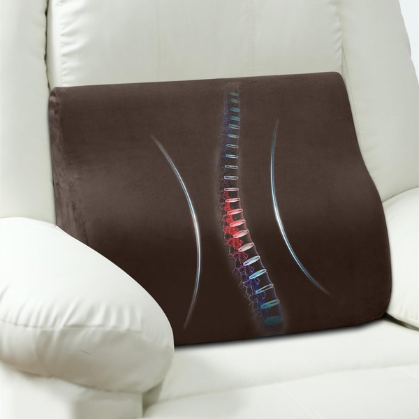AHUAWA Back Support Pillow for Recliner Chair, Memory Foam Couch