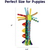 Dog Toy Pet Stages Cool Teething Stick