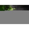 elho Vibia Campana Square 30 - Flower Pot for Outdoor