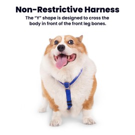 LufeLux Non Restrictive Dog Harness, Easy Walk Freedom No Pull Harness, Keep Balance, Neck Buckle, 2 Leash Clips for Back/Front Clip, Sewn-in Instructions Labels for Easy Put On/Off (Blue, X-Large)