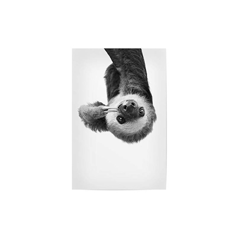 artboxONE Poster 30 x 20 cm Animals Little Sloth -