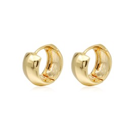 Hoop Earrings for Women, 18K Gold Plated Earrings for Women｜Small Lightweight Hypoallergenic Cartilage Huggie Earrings for Girls