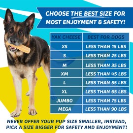 BULLYYAKER Cheese Chews: Himalayan Yak Cheese Dog Chews- Natural, Healthy & Long Lasting Dog Treats - Grain, Gluten & Lactose-Free Rawhide Alternatives, Medium 2 Pack, 6 Oz