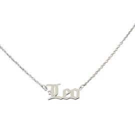 Zodiac necklaces made from tarnish free stainless steel (Leo (Silver))