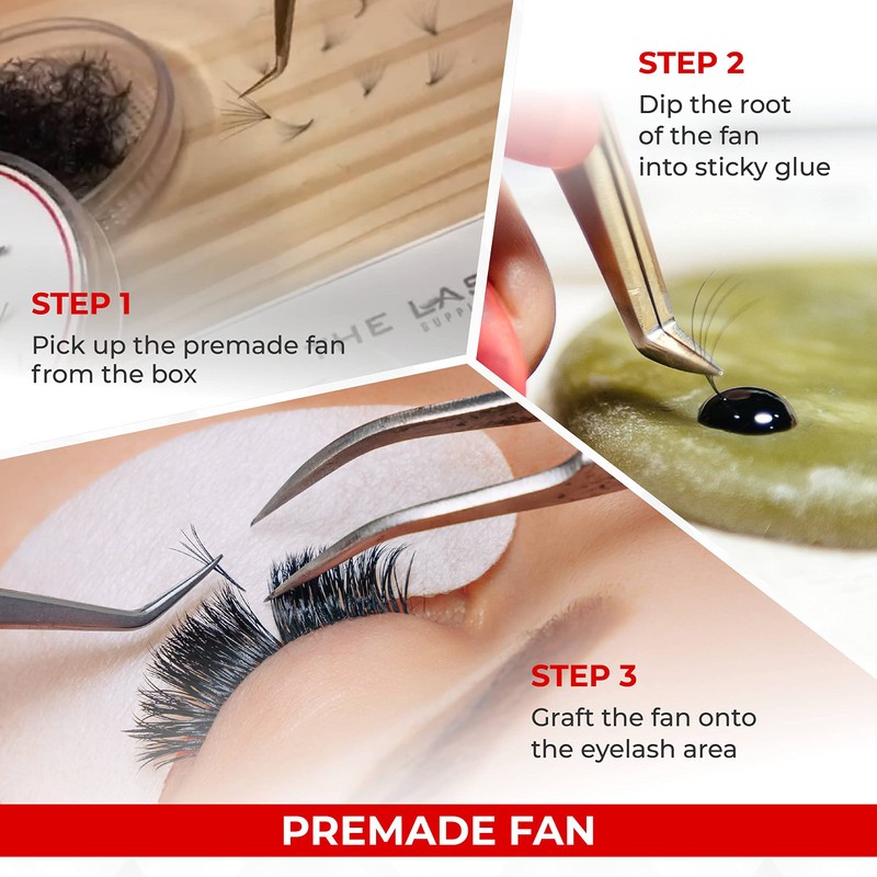 THE LASH SUPPLY THE LASH SUPPLY 1000fans 3D 4D 5D