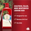 Old Spice Fiji 2-in-1 Shampoo and Conditioner for Men, 21.9