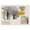 Takara Tomy Ania 10th Anniversary Memorial Set, Animals, Dinosaurs, Realistic