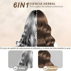 Shampoo Con Tinte 3 In 1, Hair Dye Tinte de Natural Shampoo Instantáneo,Con Ingredientes Naturales Y Suaves, para La Cobertura Del Cabello Y Cubrir Ca