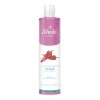 Kit Shampoo Chile Romero Y Acondicionador Chile Sheló Nabel