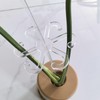 Plant Stem Support - Clear Multipurpose Houseplant Stem Holders,5X Reusable