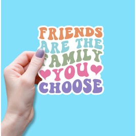 (3PCS) Friends The Family You Choose Sticker, Funny Stickers Motivational Sarcastic Inspirational Waterproof Vinyl Sticker Decals for Books Laptops Phone Water Bottles Tumbler Cup Kindle 3x2.6 Inch
