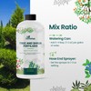 32oz Tree and Shrub Plant Food - Makes 32 Gallons
