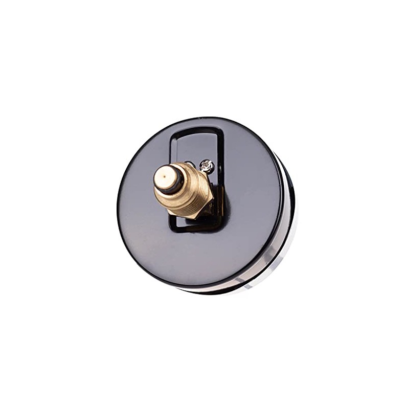 THERMIS Thermomanometer connection from the rear G1/2 (80 mm) 0-120°C