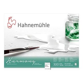 Hahnemuhle Harmony Watercolor Block Hot Pressed 9x12 Inches 12 Sheets