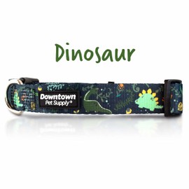 Downtown Pet Supply Best Cute and Fancy Printed Pattern, Soft Pet Dog and Puppy Collars for Small, Medium, and Large Dogs Collar (Dino, Medium)