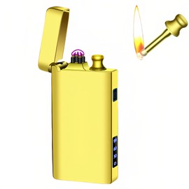 NINSI Electric Lighter, USB-C Rechargeable Dual Arc Lighter & Permanent Match 2 in 1 with Flashlight, Kerosene Soft Flame, Outdoor Survival Gear, for Men & Women (Gold)