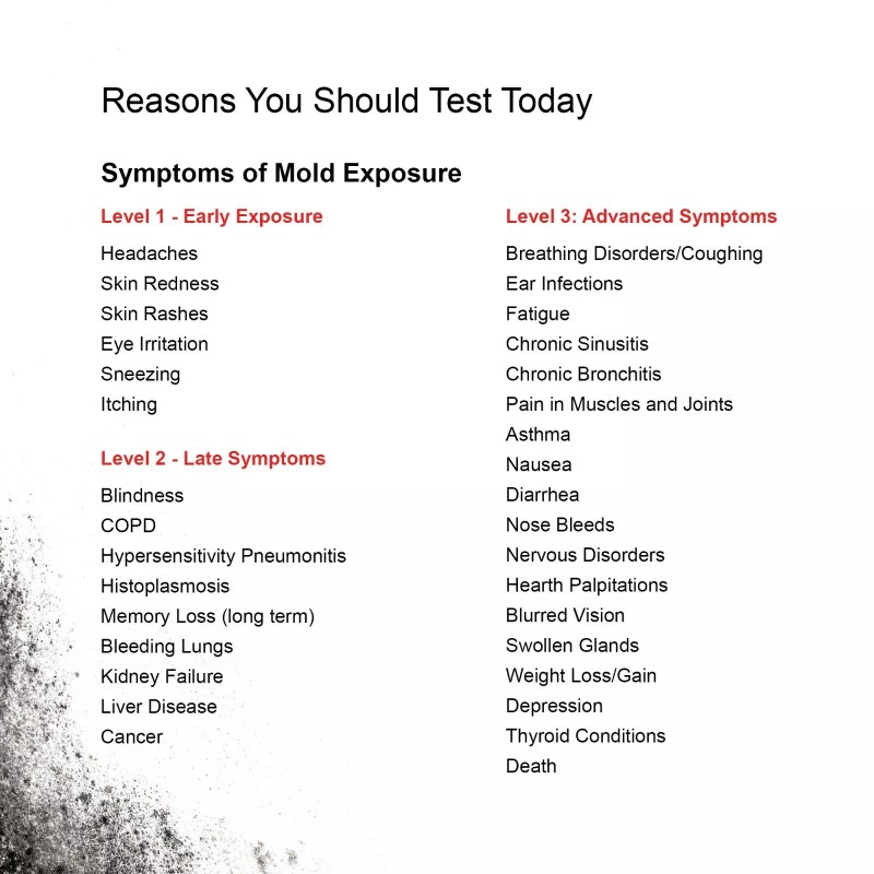 BioCide Labs DIY HVAC Mold Test Kit | Tests up
