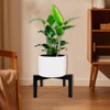 DDPow Heavy Duty Adjustable Metal Plant Stand for 10"-16" Plant
