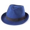 Straw Fedora Hat Mens Fedora Hats for Men Trilby Hat