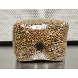 Booming Acres Booming Grains | 3lb Sterile Mushroom Oats Including Injection Port | Sterile Hydrated Grains for Growing Mushrooms