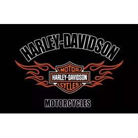 Harley Davidson Flag
