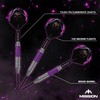 Mission | Phantom Darts | Silver & Purple | Brass