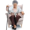 Disfraz de Anciana con Peluca y Accesorios – BBTO SI-BBTO-286495