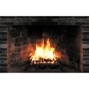 Wet Paint SP12126 Fireplace Cardboard Cutout