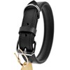 Schnüffelfreunde Leather Dog Collar