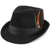 Classic Unisex Trilby Fedora Hat (US, Alpha, One Size, Black)