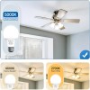 SHINESTAR 6 Pack A19 LED Light Bulb 9W Equivalent 60W