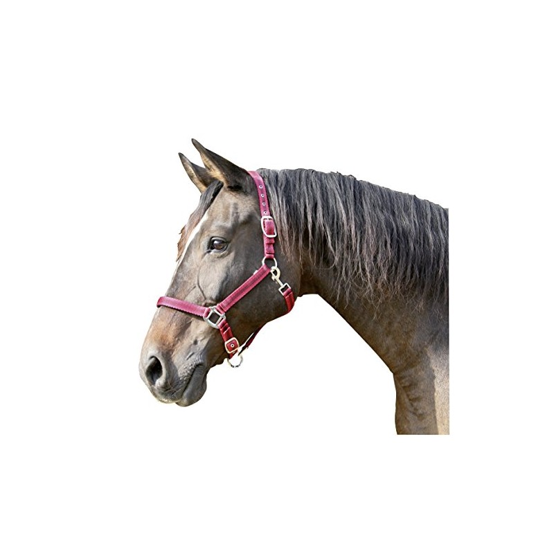 Kerbl Mustang Head Collar - Red/Black, Size 3