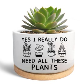 MBRUH Cute Plant Pot for Succulent, Ceramic Flower Cactus Planter, Gardening Gardener Gifts for Women Men Friends Plant Lover, Succulents Pots for Indoor Office Windowsill Decor (Plants Not Included)