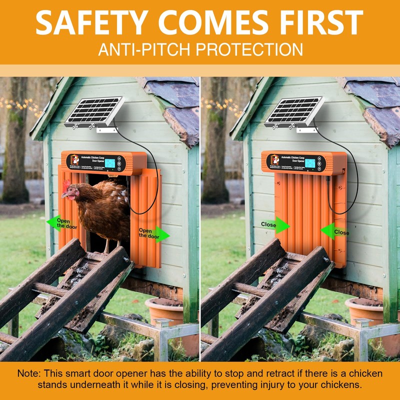 Automatic Chicken Coop Door Solar Powered, Extra Large Size, Anti-Pinch