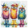 Colorful Bird Puzzles for Adults 1000 Pieces, Funny Flower Owls